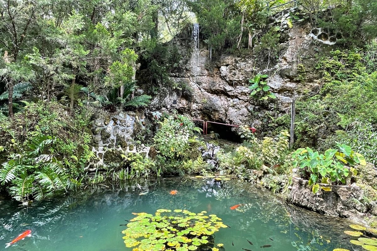 Cedar Lakes Woods and Gardens Joanne's Pool