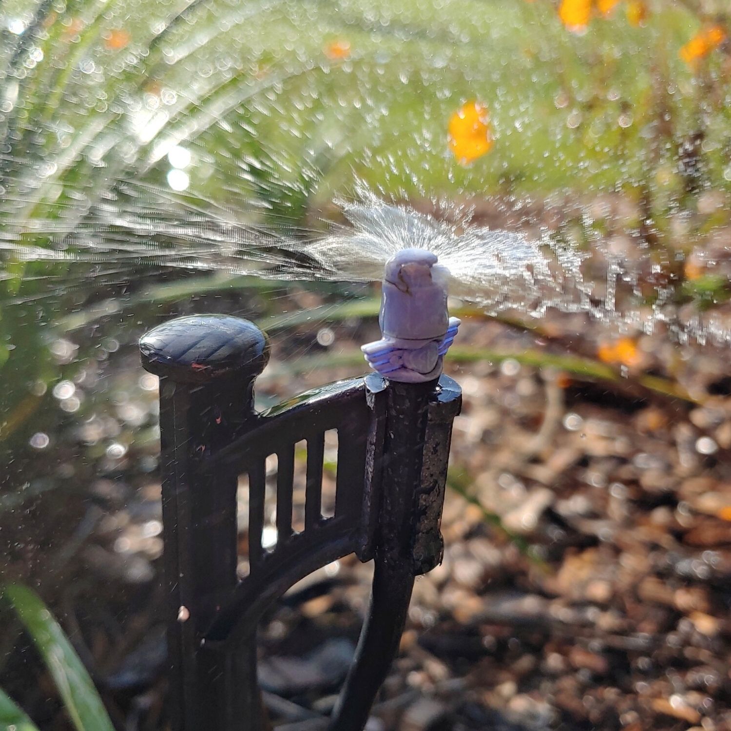 Microspray is the most common type of microirrigation