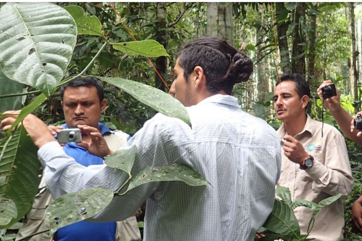 Rangers learn how to sample with bait traps
