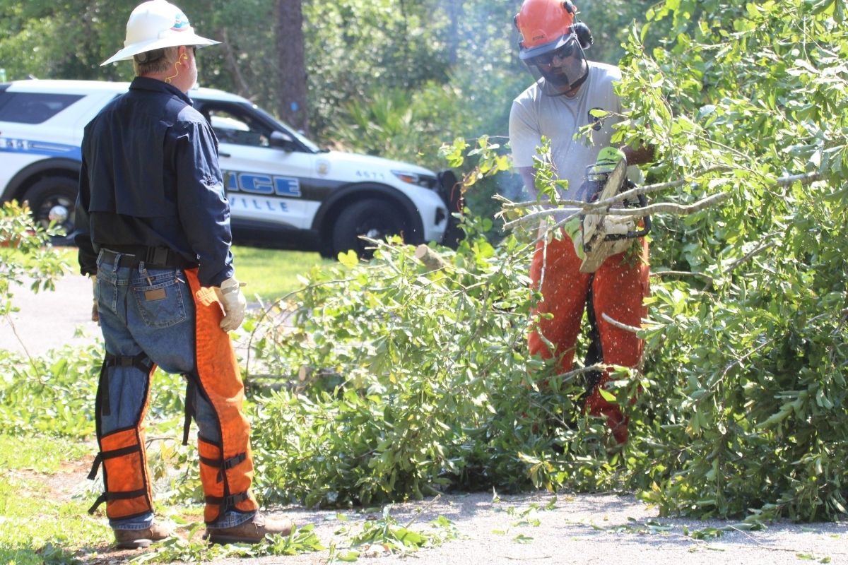 City of Gainesville Tree Surgeon Herb Poole trains GPD Officer Thomas Kooplikkattu