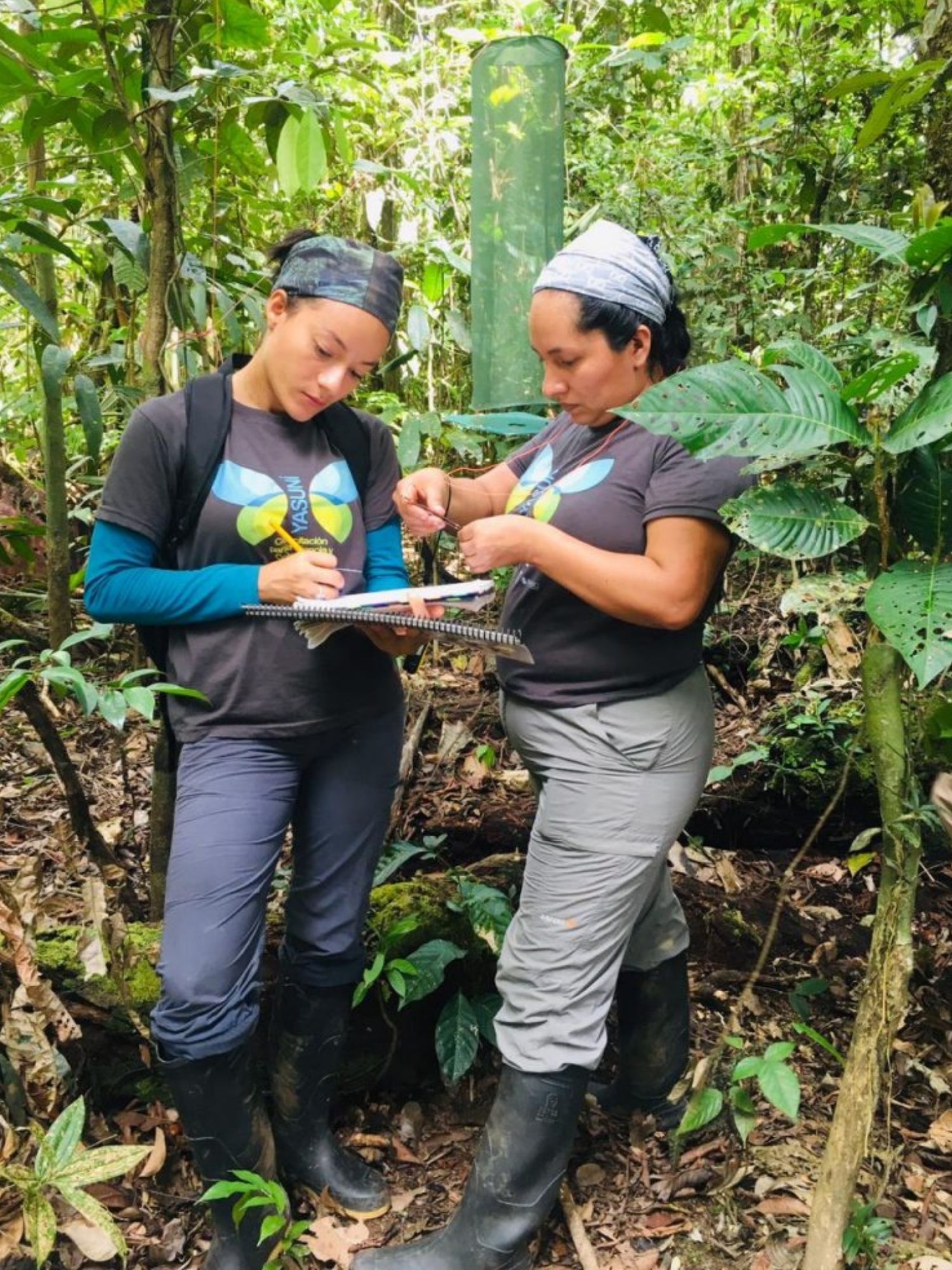 Park rangers Silvia Campos and Leslie Bustos identify a butterfly captured in a bait trap