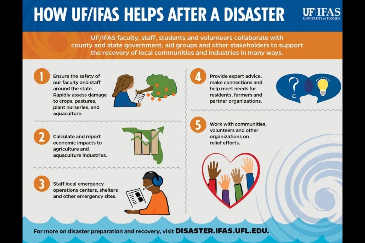How UF/IFAS helps after a disaster