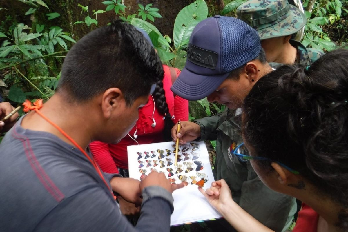 Park rangers use photographic ID guides