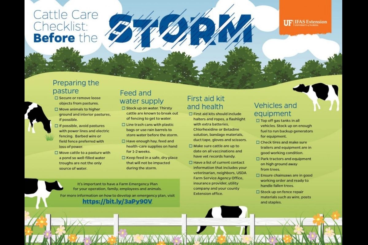 UF/IFAS cattle care checklist before the storm