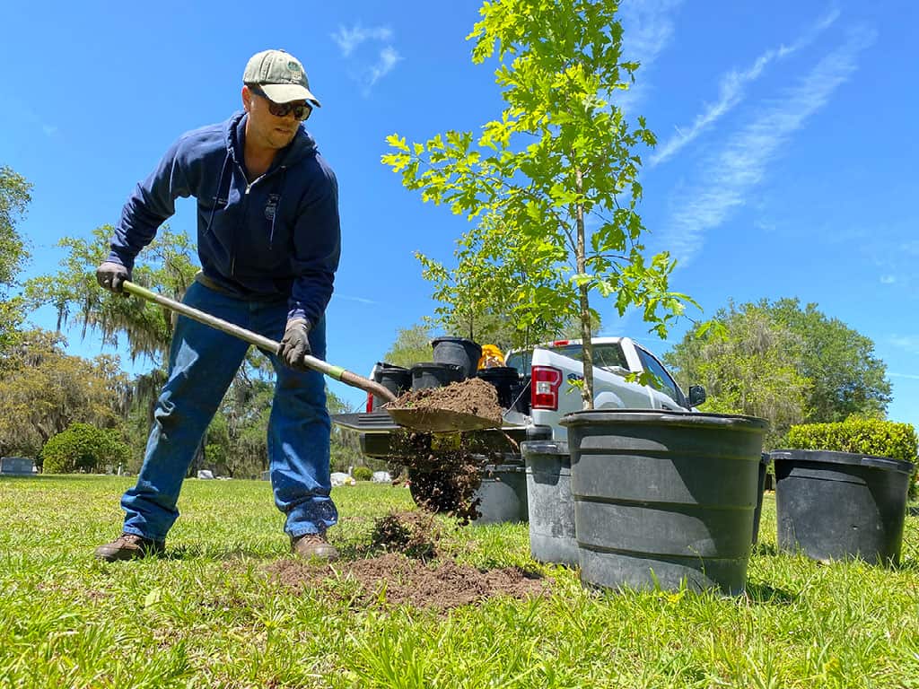 GNV expands use of tree mitigation funds