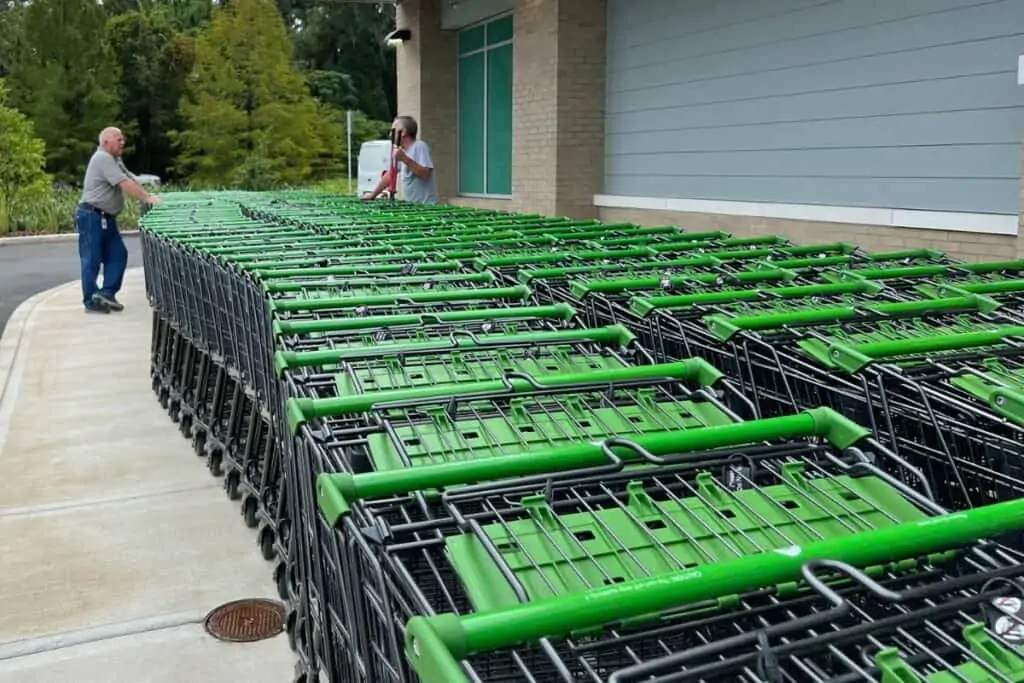 Westgate Publix carts