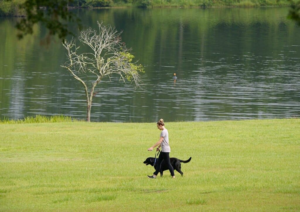 Woman and dog walking by water - alligator awareness