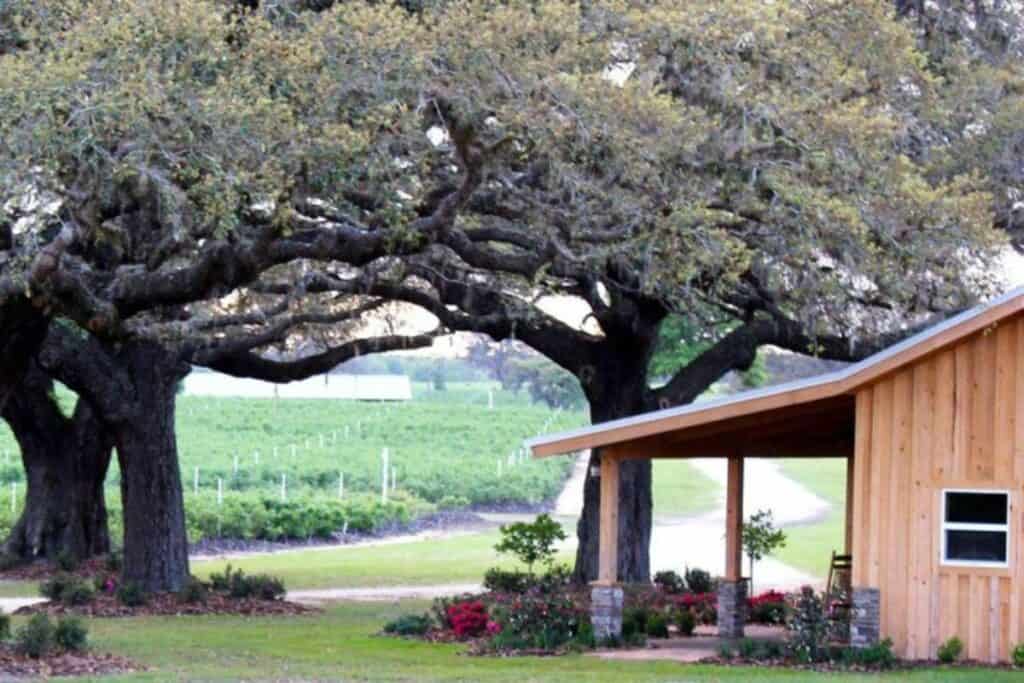 Red, White & Blue Farms rebranding