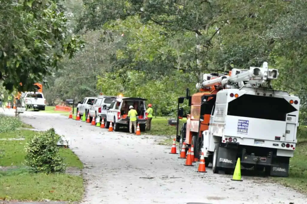 Tree crews off Newberry Road on NW 94th Street removed a tree that fell on a power line on Thursday morning.