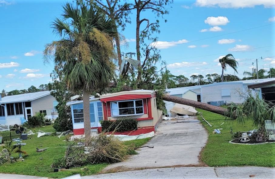 A house gets hit by a fallen tree.