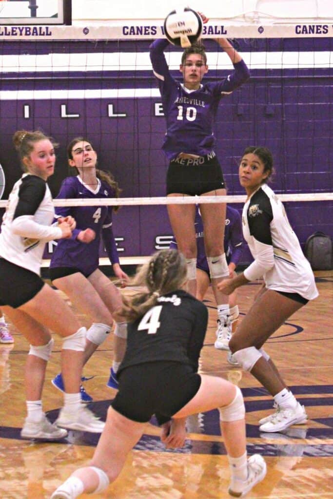 Buchholz's Hailey McLaughlin with a dig against Gainesville on Monday.