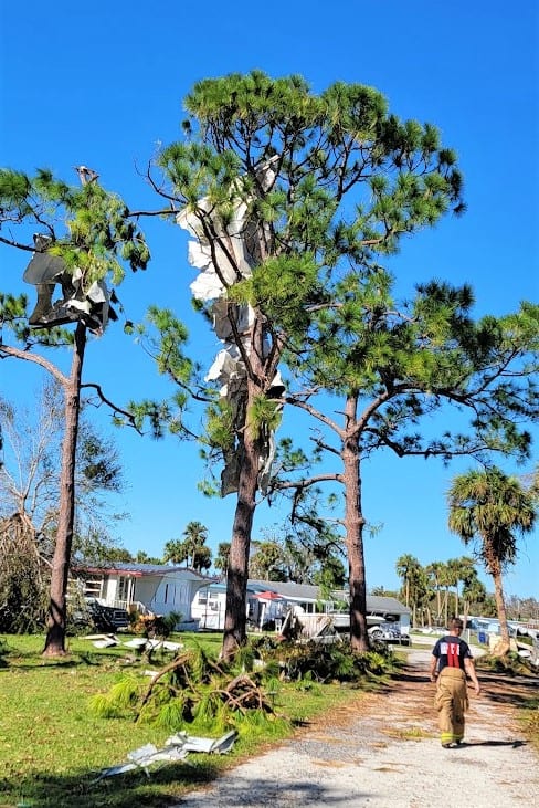 Debris snagged itself in a tree.