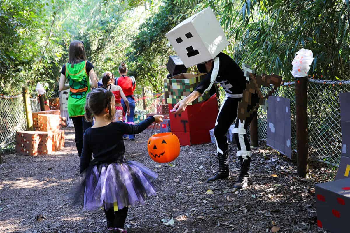 ‘Boo at the Zoo’ to return for Halloween fun