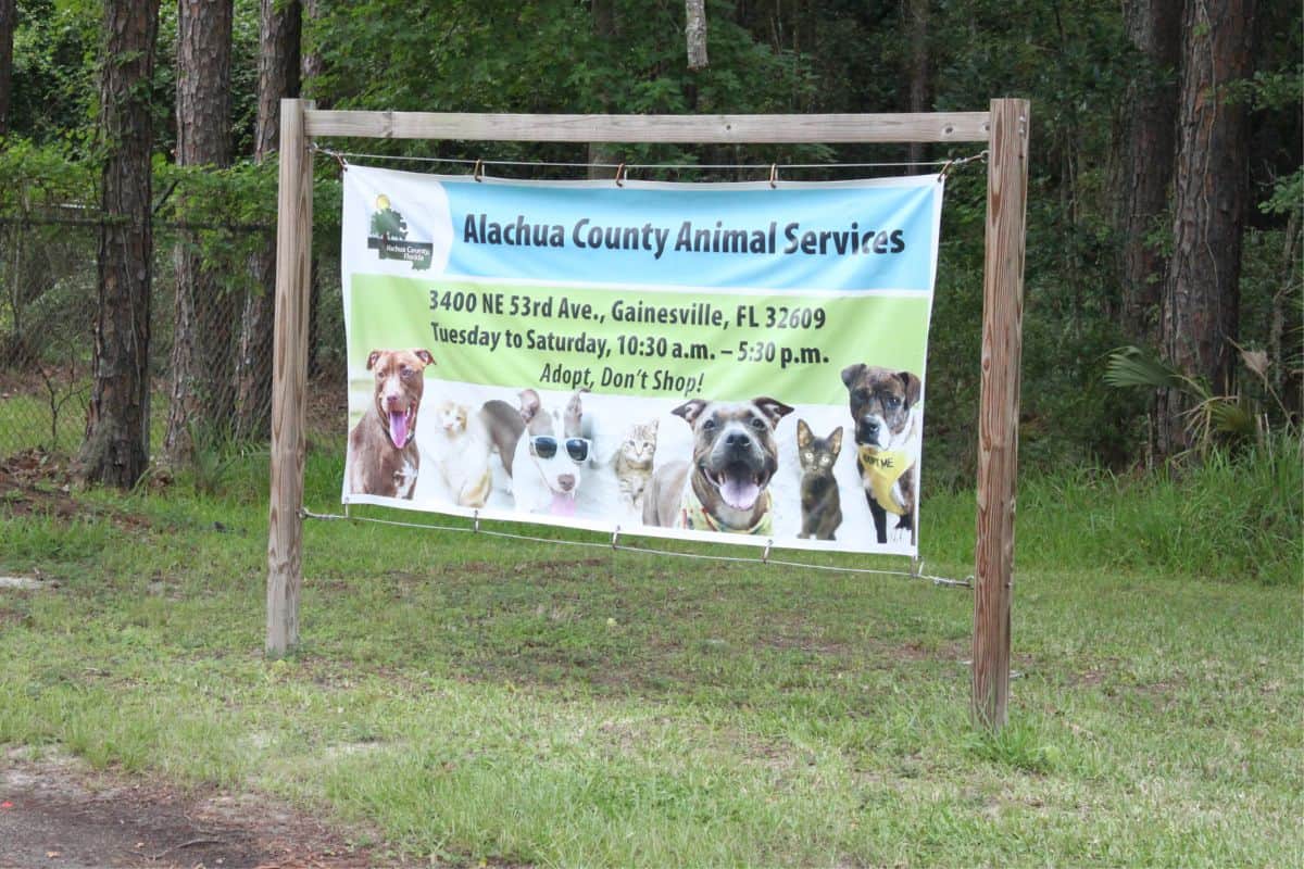 Alachua County works on new animal services shelter location