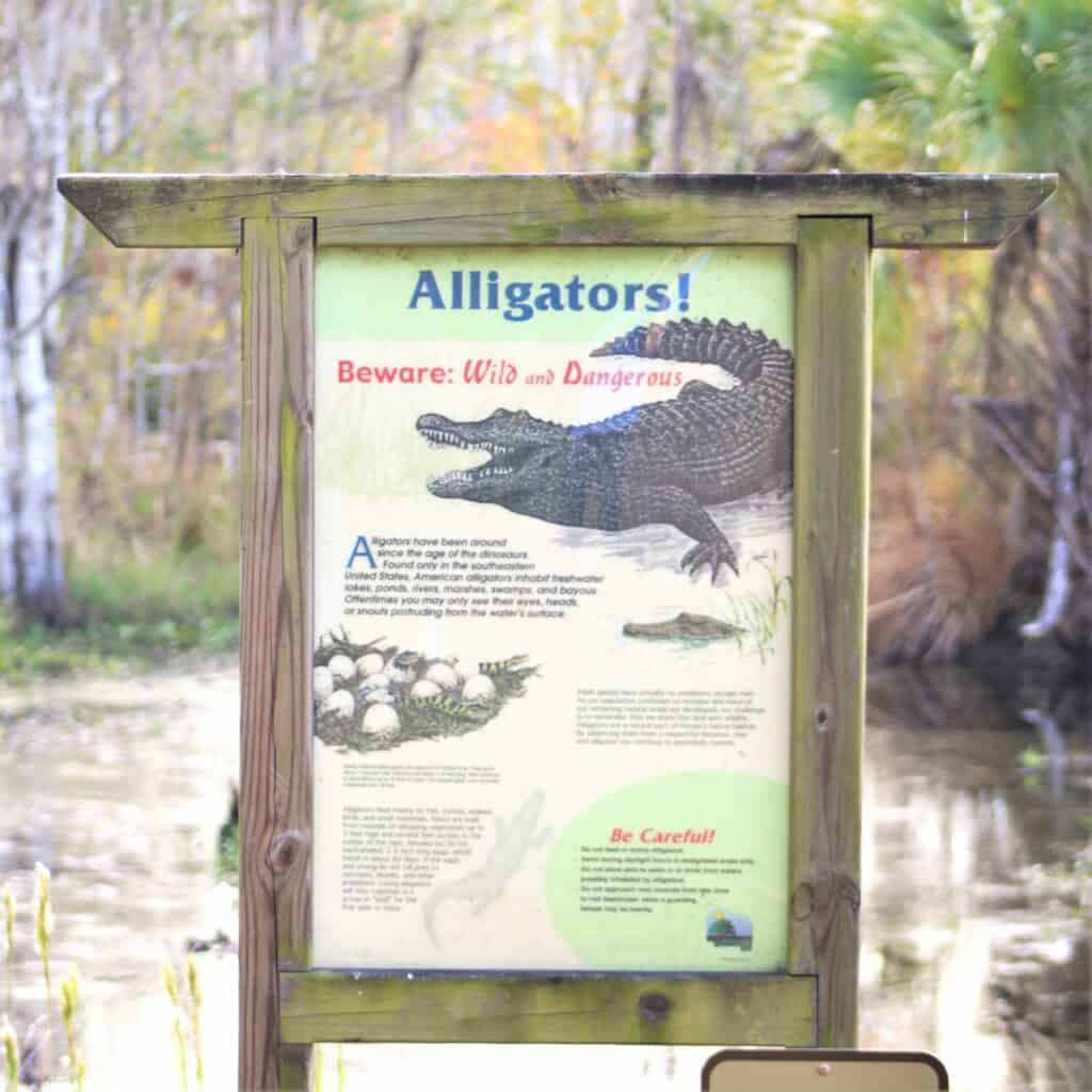 Alligator warning sign at Barr Hammock Preserve.