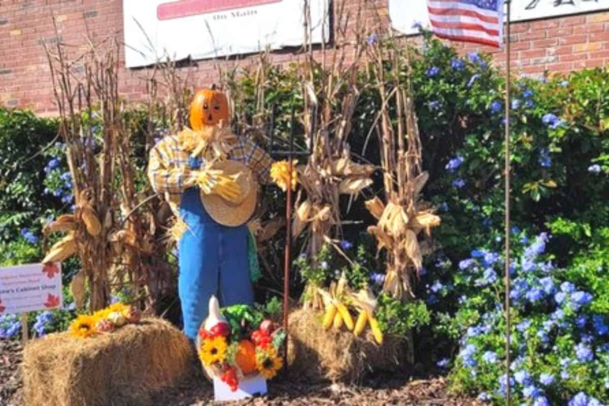 Newberry to host Fall Festival
