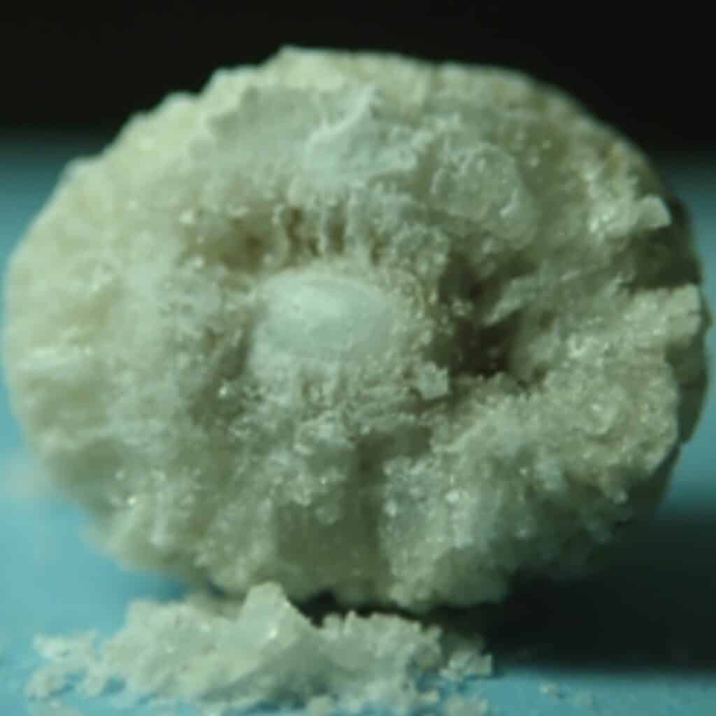 Struvite helped seagrass grow better than common fertilizers.