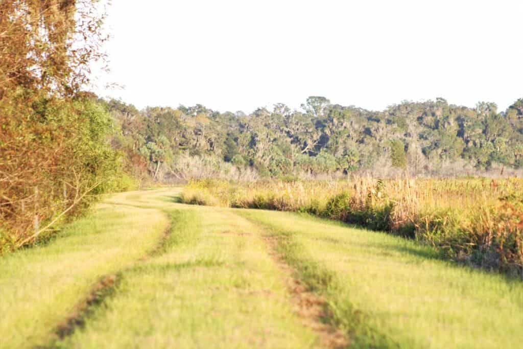 Trail at Barr Hammock South.