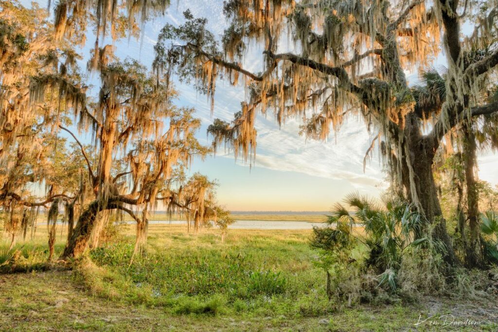 Barr Hammock Preserve