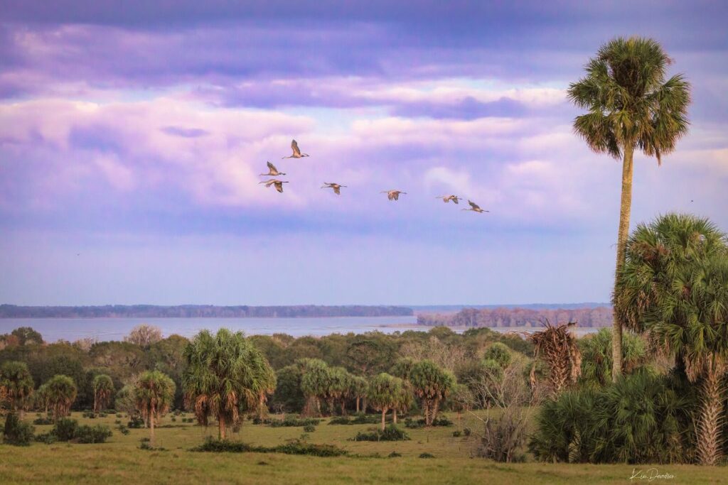Orange Lake Overlook Preserve