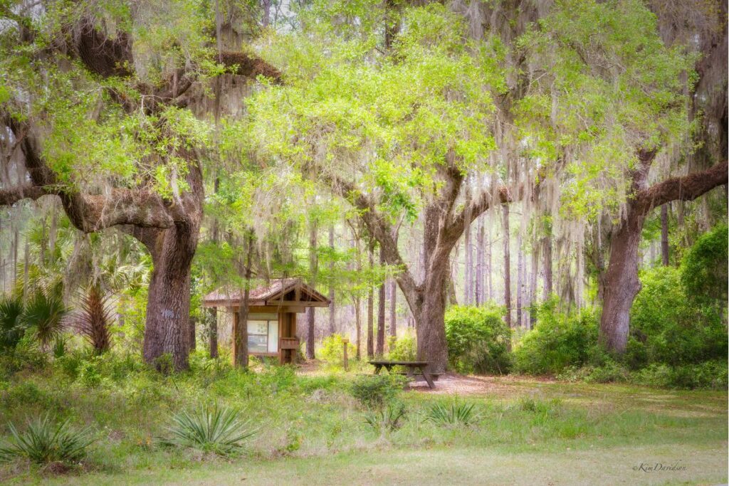 Prairie Creek Preserve