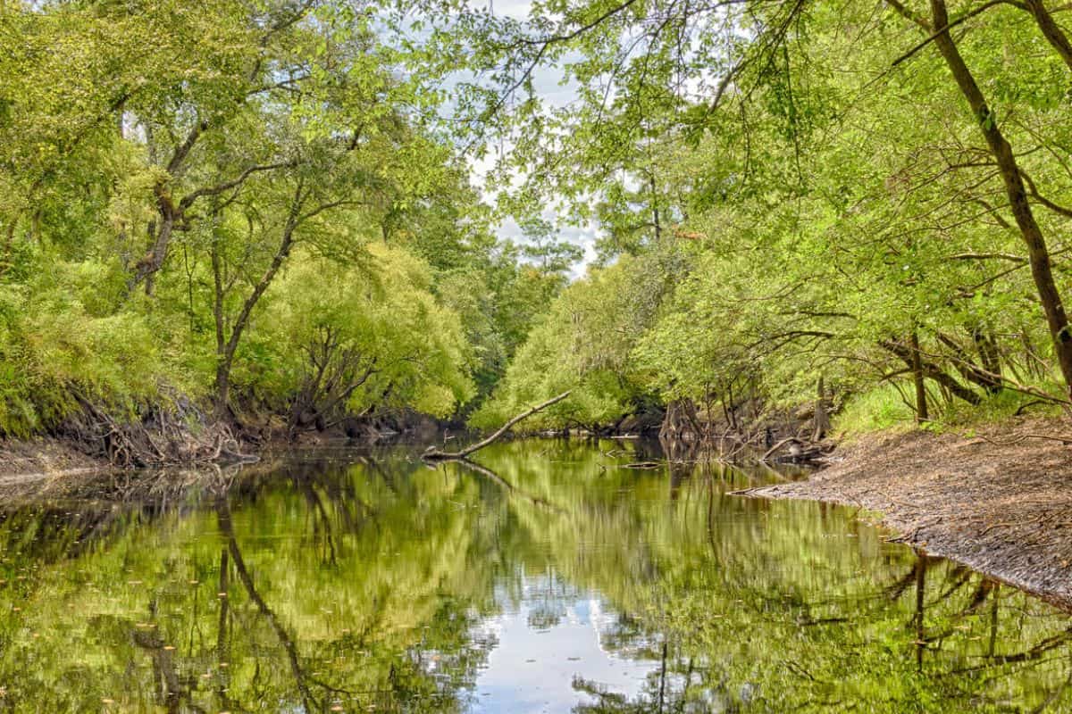 ACT to open section of Santa Fe River Preserve