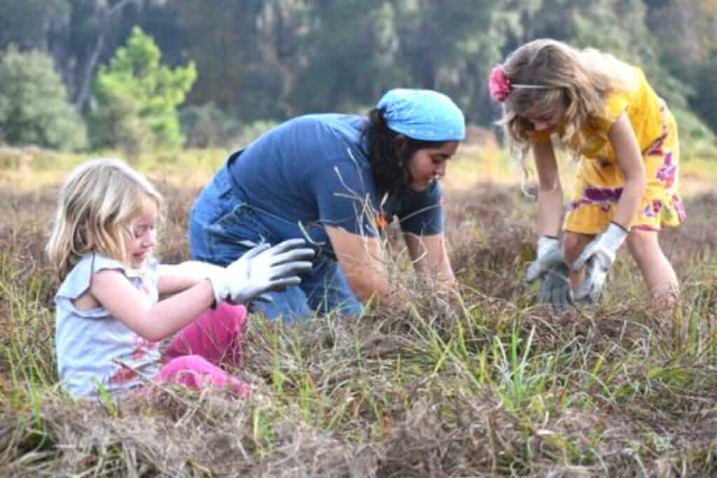 The Alachua Conservation Trust will host its Trees and Treats and Holiday Mingle events this weekend at Prairies Creek Lodge.