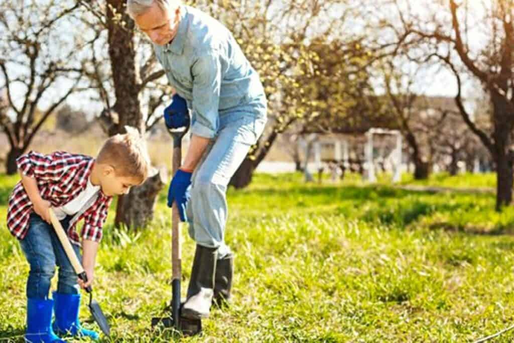 Duke Energy will be giving away 1,200 trees to customers in honor of Florida Arbor Day on Friday.