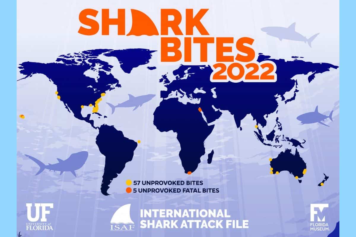 2022 Shark Bites