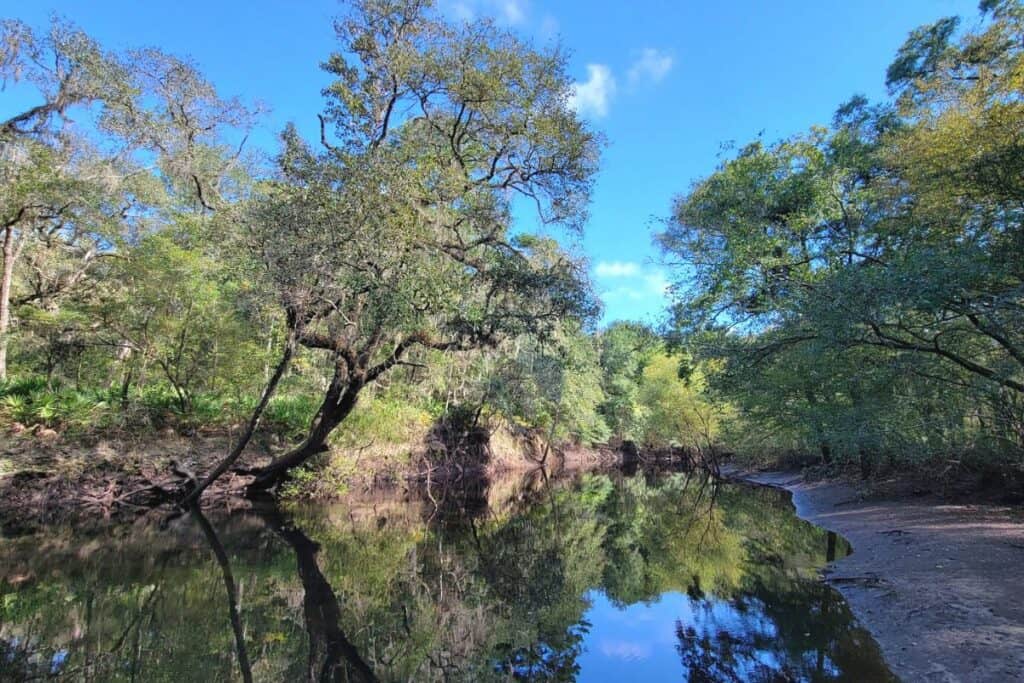 Alachua County Forever closed a purchase for 189 acres along the Santa Fe River on Feb. 10.