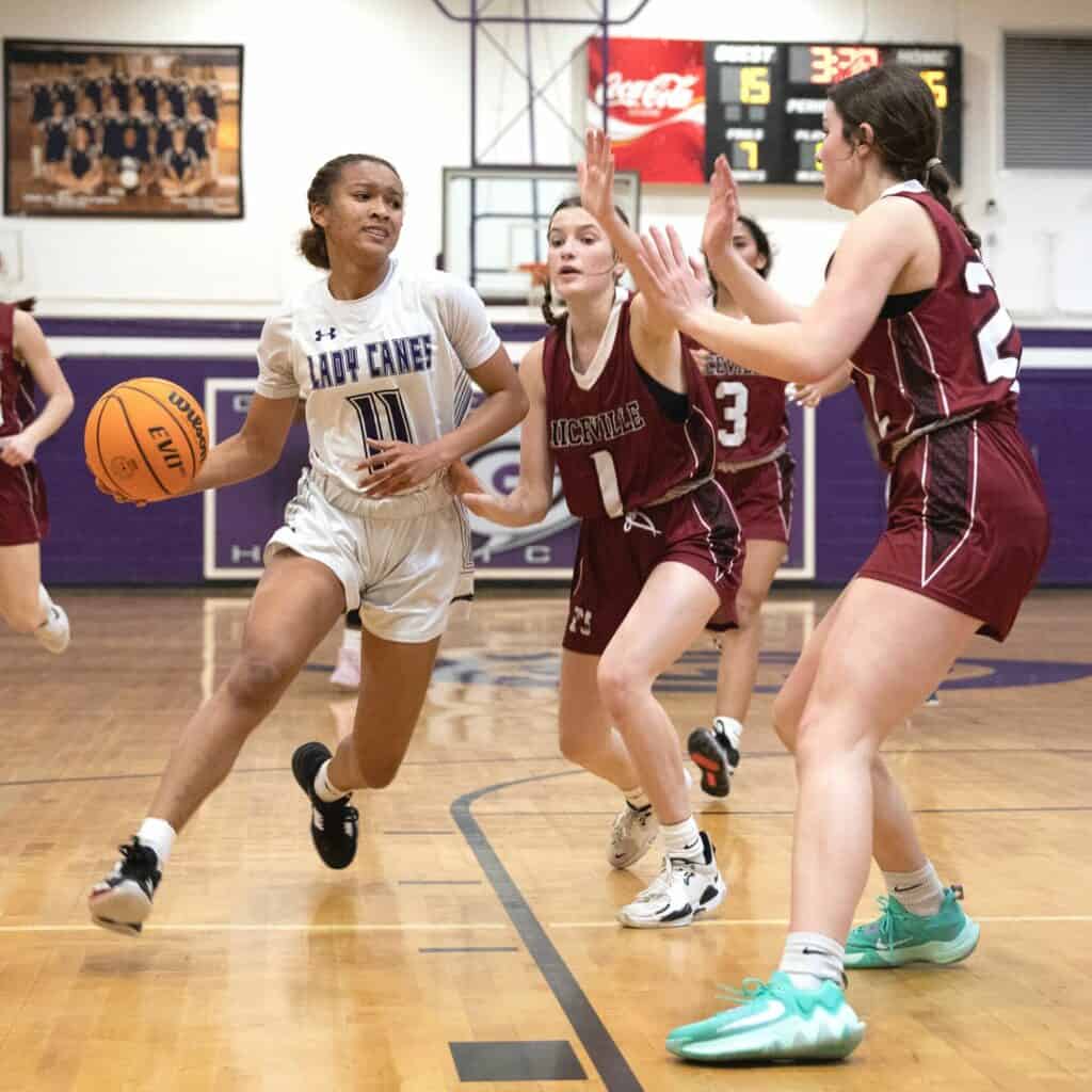 Gainesville's Jayden Terry drives toward the basket in the Class 6A-Region 1 Quarterfinal home win over Niceville on Thursday.
