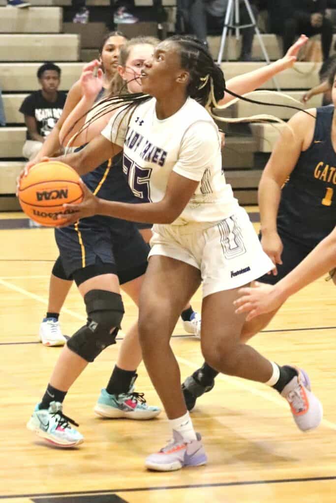 Gainesville's Leyah Houston shoots for two against Land O' Lakes in the Region 1-6A semifinals on Tuesday.