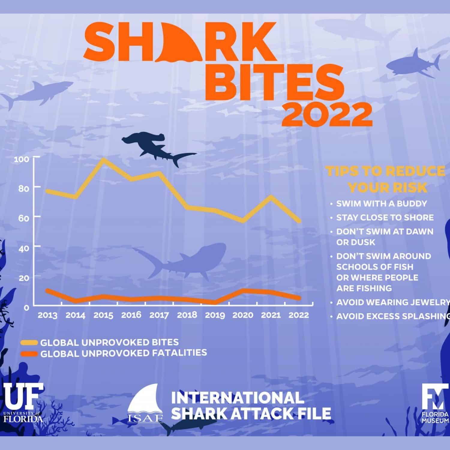 International shark attack - Shark bites 2022