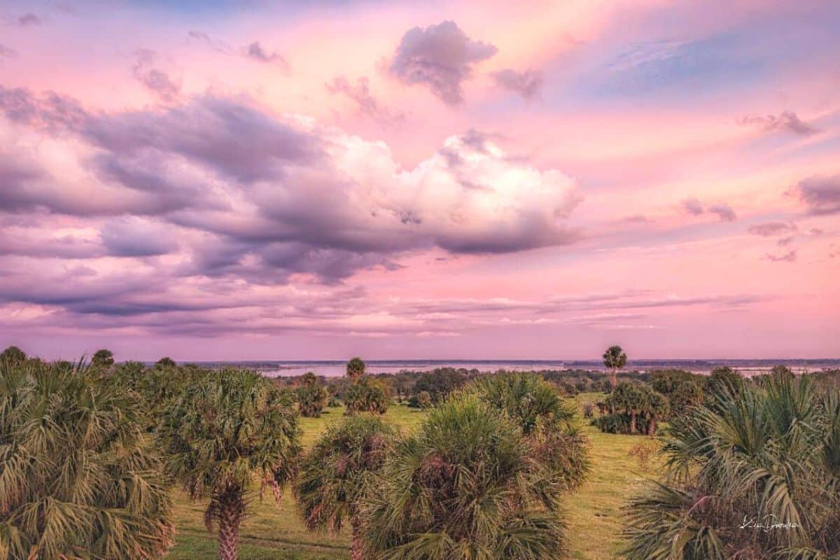 Conservation trust to double Orange Lake footprint
