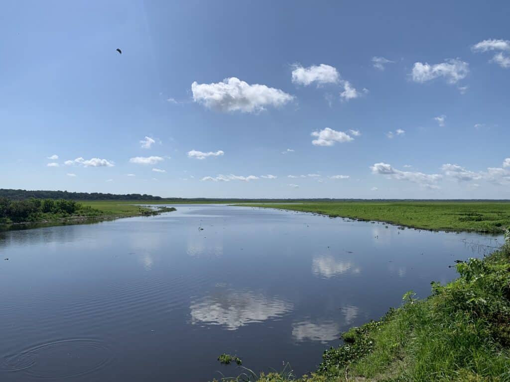 Paynes Prairie Preserve State Park