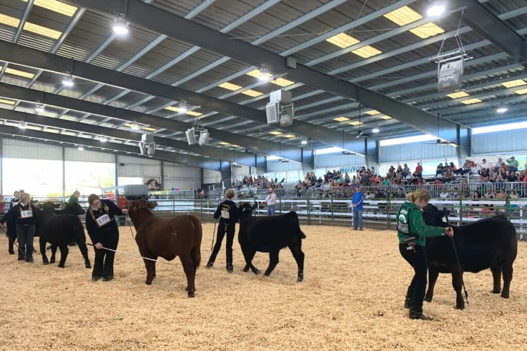 Alachua County Youth Fair & Livestock Show