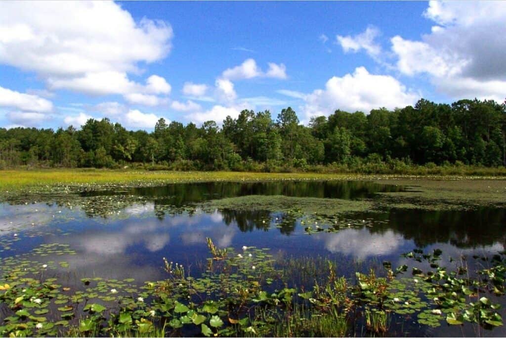 Lake Santa Fe - Dinh