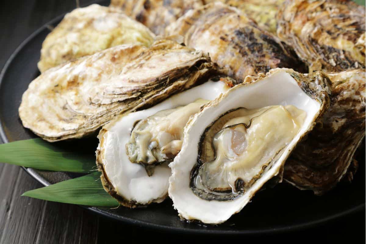 FDOH initiates recall of Cedar Key oysters
