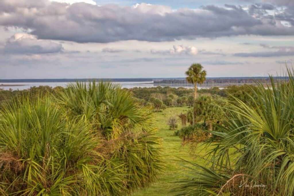 Orange Park Overlook