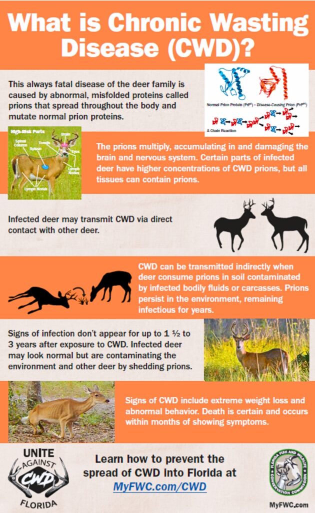 What is chronic wasting disease FWC sheet.