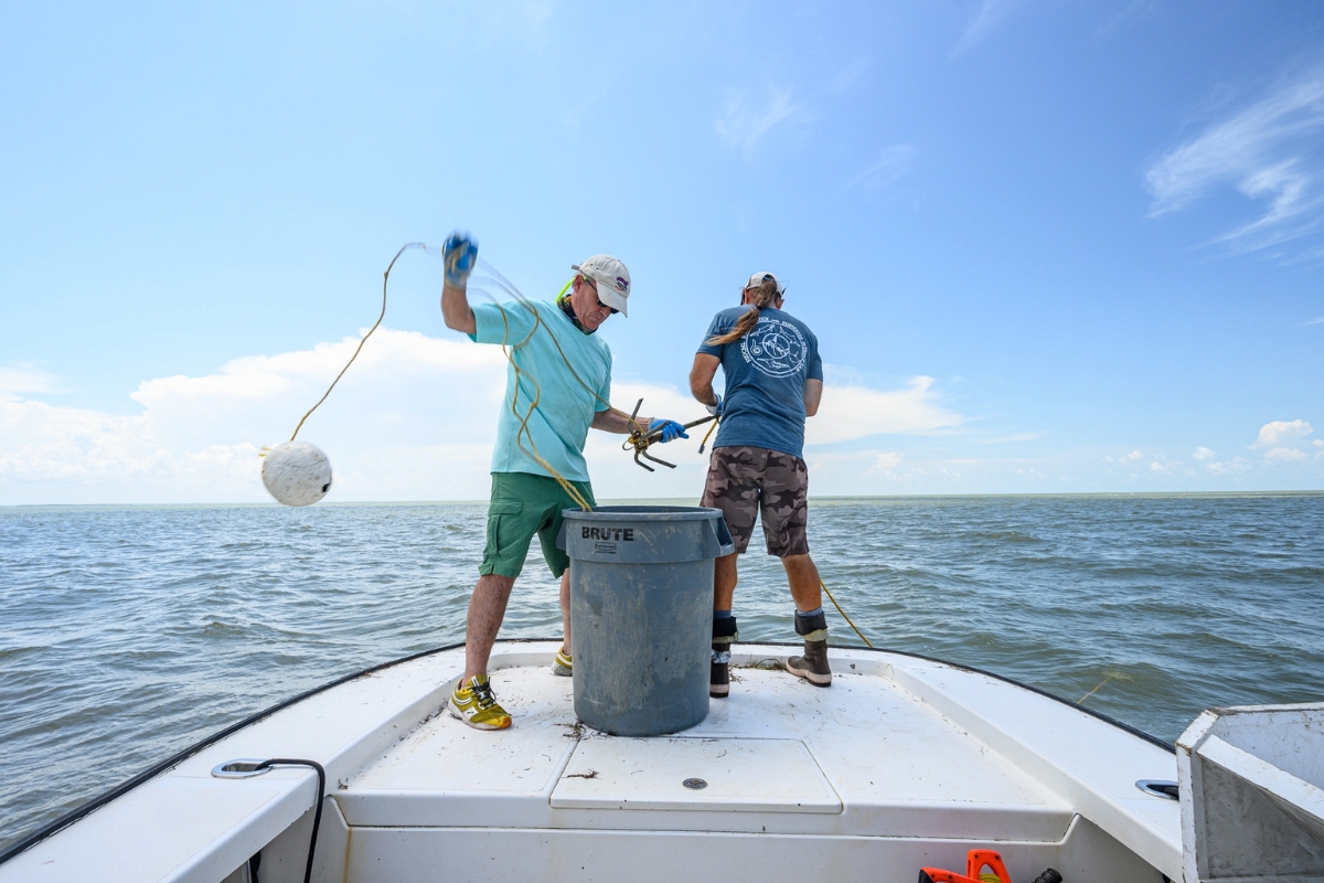 The annual shark course is co-taught by Gavin Naylor (left) and Dean Grubbs (right), shown deploying lines to catch small sharks for students to inspect.