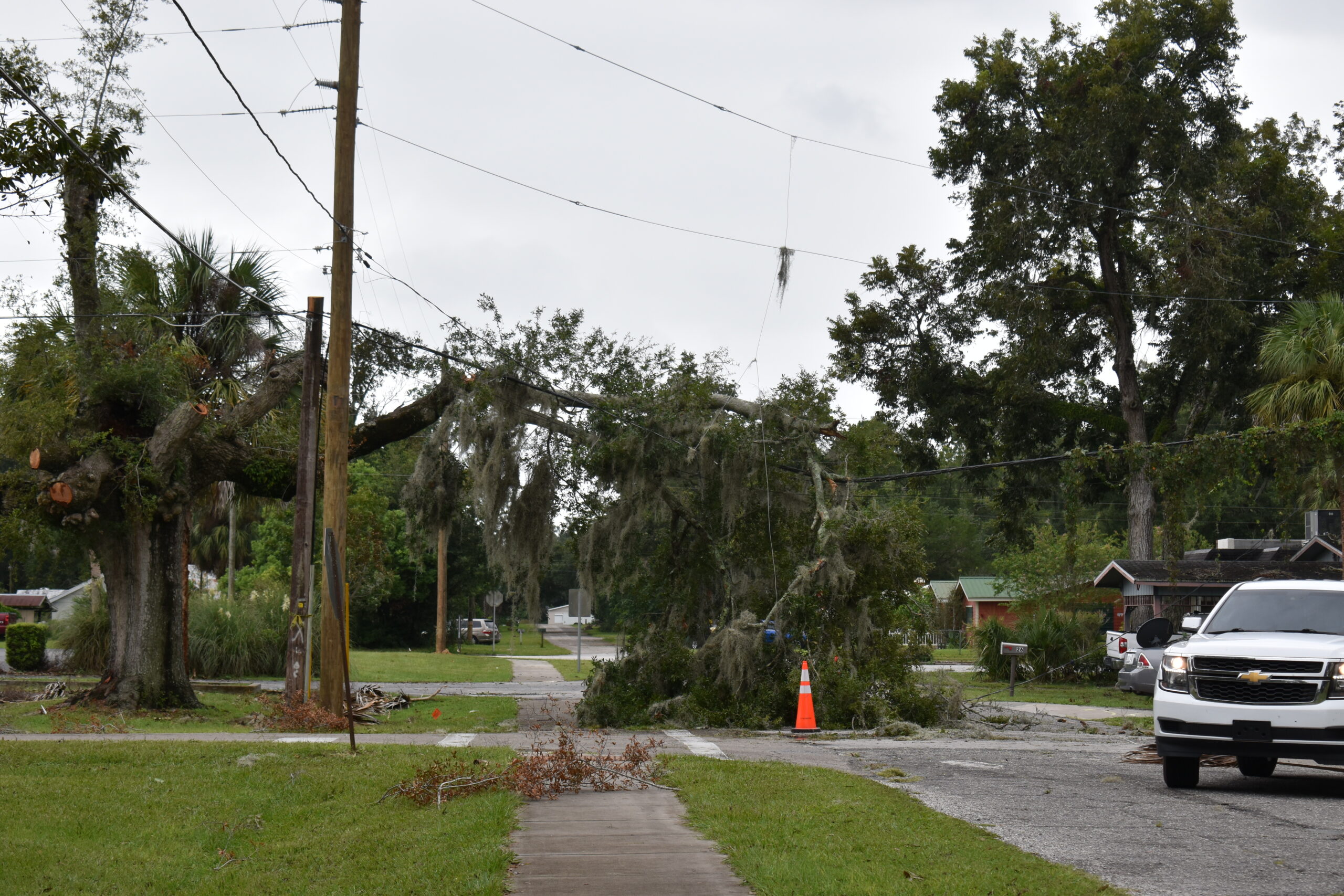 A dead tree fell across a power line behind the Chiefland City Hall_Cred Glory A dead tree fell across a power line behind the Chiefland City Hall.