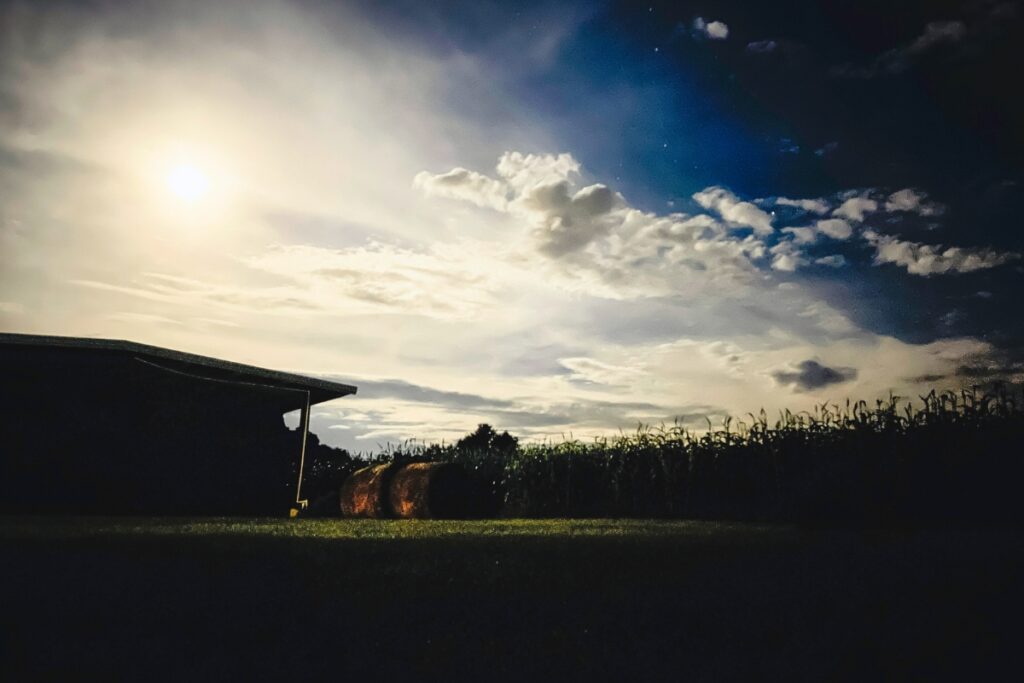 The Newberry Cornfield Maze runs Friday and Saturdays and runs through Oct. 28.