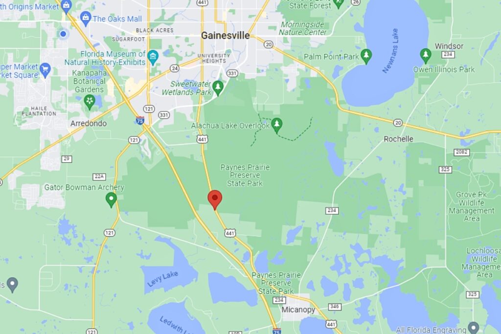 A Ford Mustang hit and killed a Floral City man walking along US Highway 441 just south of SW 104th Avenue early Sunday morning in Alachua County.