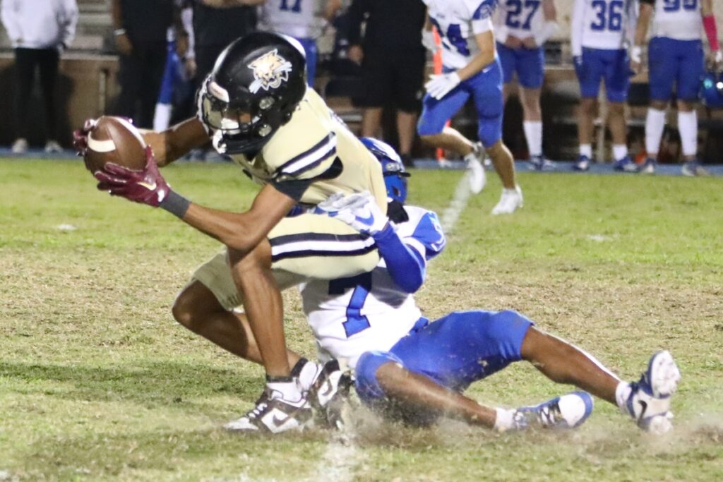 Buchholz's Michael Peterson Jr. with a catch against Bartram Trail on Thursday.