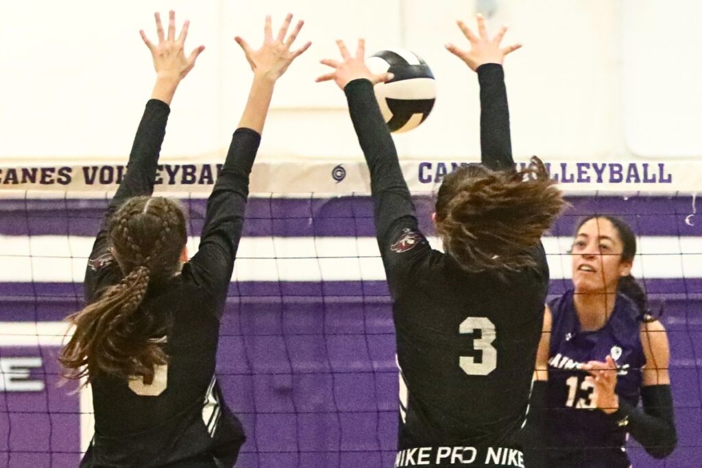 Gainesville's Brooklyn Tealer with a hit against Navarre on Wednesday.