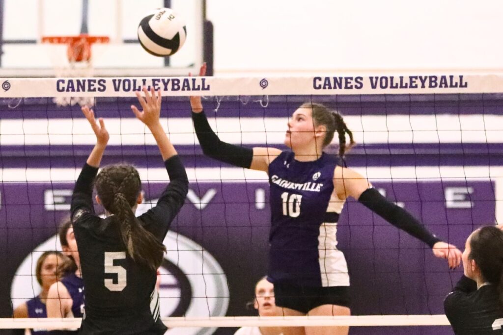 Gainesville's Charlotte Gravlee with a hit against Navarre on Wednesday.