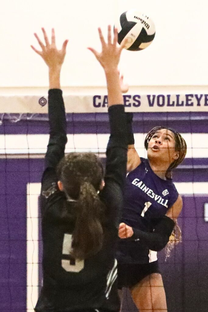 Gainesville's Meme Davis with a hit against Navarre on Wednesday.