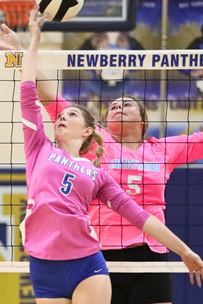 Newbery's Hanna Templeton with a hit against Chiefland's Evie Meeks on Monday.