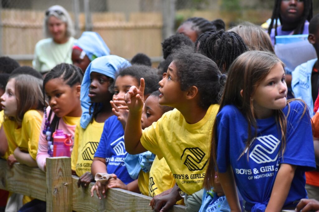 Students from the Boys and Girls Club look at a hawk in Camp Kulaqua's wildlife sanctuary.